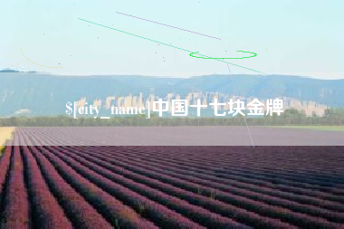 新余中国十七块金牌