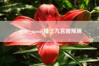 新余排三九宫图预测