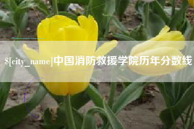 新余中国消防救援学院历年分数线