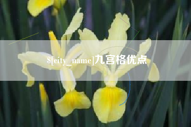 新余九宫格优点