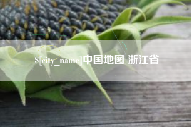 新余中国地图 浙江省