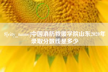 新余中国消防救援学院山东2020年录取分数线是多少