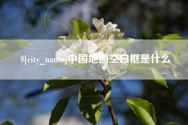 新余中国地图空白框是什么
