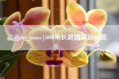新余5000米长跑国家运动员