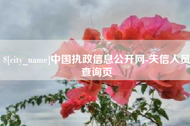 新余中国执政信息公开网-失信人员查询页