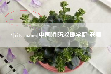 新余中国消防救援学院 老师