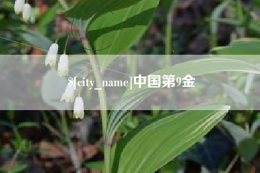 新余中国第9金