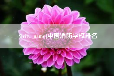 新余中国消防学校排名