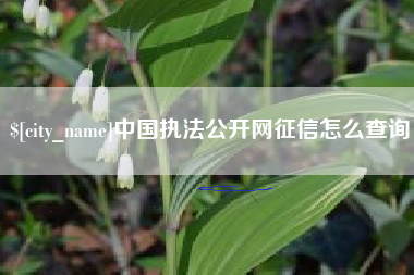 新余中国执法公开网征信怎么查询