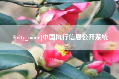新余中国执行信息公开系统
