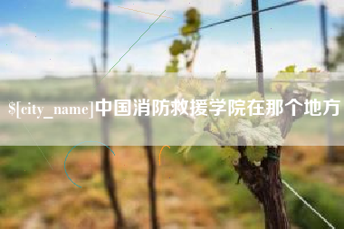 新余中国消防救援学院在那个地方