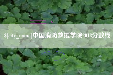 新余中国消防救援学院2018分数线