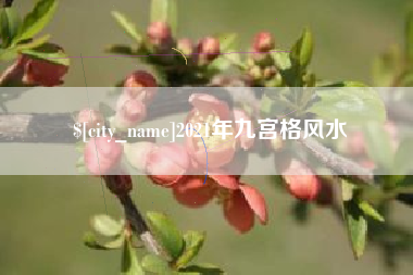新余2021年九宫格风水