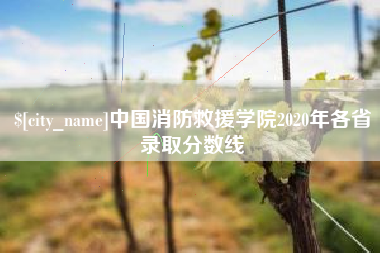 新余中国消防救援学院2020年各省录取分数线
