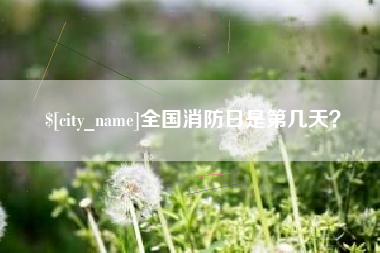 新余全国消防日是第几天？
