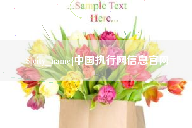 新余中国执行网信息官网
