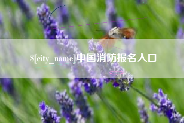 新余中国消防报名入口