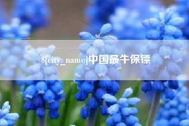 新余中国最牛保镖