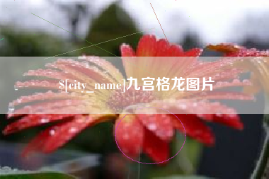 新余九宫格龙图片