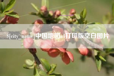 新余中国地图a4打印版空白图片