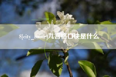 新余九宫格口诀是什么
