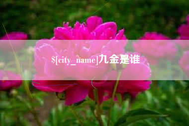 新余九金是谁