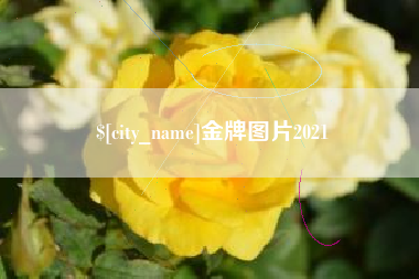 新余金牌图片2021