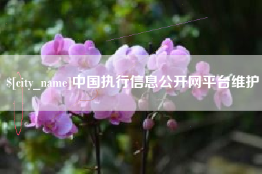 新余中国执行信息公开网平台维护