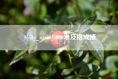新余5000米及格成绩