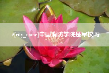 新余中国消防学院是军校吗
