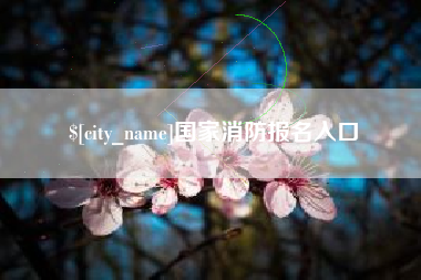 新余国家消防报名入口