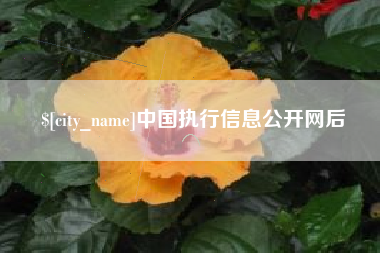 新余中国执行信息公开网后