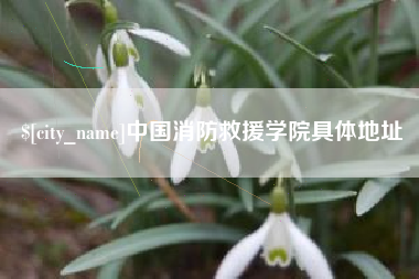 新余中国消防救援学院具体地址