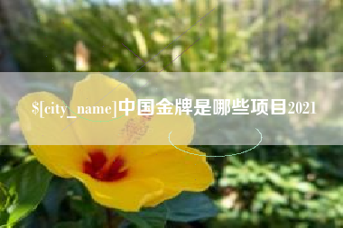 新余中国金牌是哪些项目2021