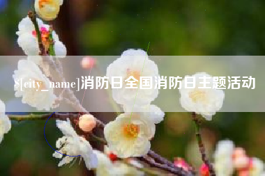 新余消防日全国消防日主题活动