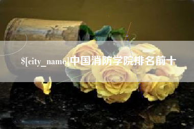 新余中国消防学院排名前十