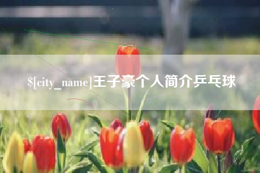 新余王子豪个人简介乒乓球