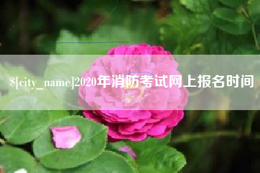 新余2020年消防考试网上报名时间