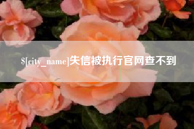 新余失信被执行官网查不到