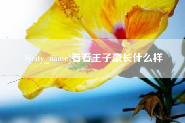 新余看看王子豪长什么样