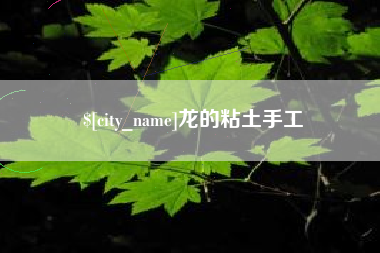 新余龙的粘土手工