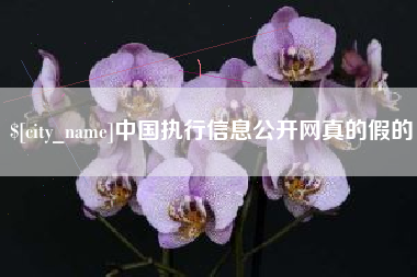 新余中国执行信息公开网真的假的