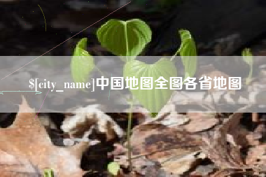 新余中国地图全图各省地图