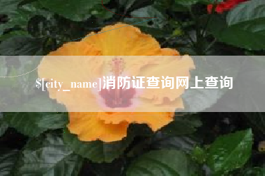 新余消防证查询网上查询