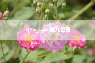 新余第九金是