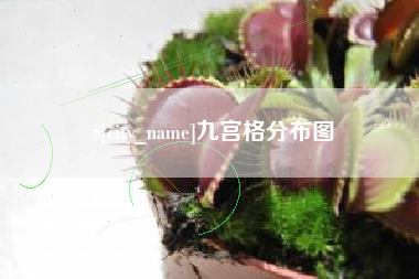新余九宫格分布图