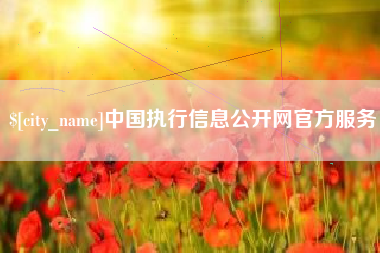 新余中国执行信息公开网官方服务