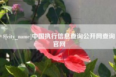 新余中国执行信息查询公开网查询官网