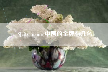 新余中国的金牌有几名