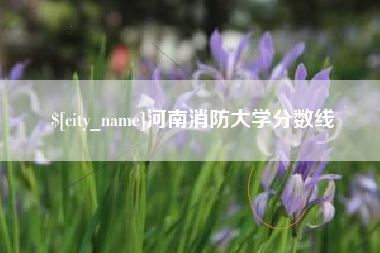 新余河南消防大学分数线